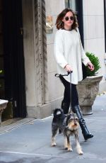 DAKOTA JOHNSON Walks Her Dog Out in West Village 11/06/2015