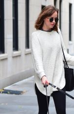 DAKOTA JOHNSON Walks Her Dog Out in West Village 11/06/2015