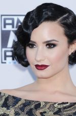 DEMI LOVATO at 2015 American Music Awards in Los Angeles 11/22/2015
