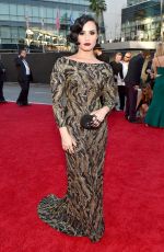 DEMI LOVATO at 2015 American Music Awards in Los Angeles 11/22/2015