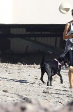 DENISE RICHARDS Walks Her Dogs at a Beach in Malibu 11/19/2015