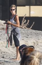 DENISE RICHARDS Walks Her Dogs at a Beach in Malibu 11/19/2015