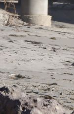 DENISE RICHARDS Walks Her Dogs at a Beach in Malibu 11/19/2015