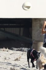 DENISE RICHARDS Walks Her Dogs at a Beach in Malibu 11/19/2015