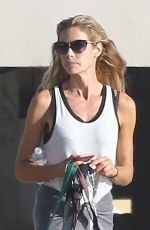 DENISE RICHARDS Walks Her Dogs at a Beach in Malibu 11/19/2015