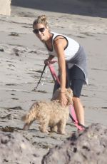 DENISE RICHARDS Walks Her Dogs at a Beach in Malibu 11/19/2015