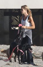 DENISE RICHARDS Walks Her Dogs at a Beach in Malibu 11/19/2015