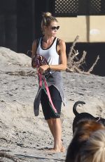 DENISE RICHARDS Walks Her Dogs at a Beach in Malibu 11/19/2015