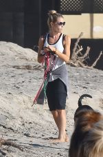 DENISE RICHARDS Walks Her Dogs at a Beach in Malibu 11/19/2015