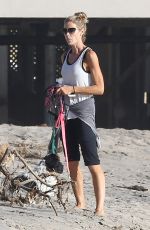 DENISE RICHARDS Walks Her Dogs at a Beach in Malibu 11/19/2015