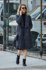 DIANNA AGRON Out and About in New York 11/20/2015