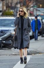 DIANNA AGRON Out and About in New York 11/20/2015