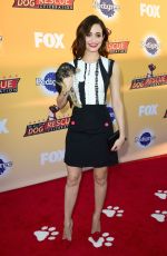 EMMY ROSSUM at All-star Dof Rescue Celebration in Santa Monica 11/21/2015