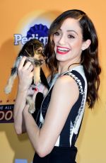 EMMY ROSSUM at All-star Dof Rescue Celebration in Santa Monica 11/21/2015