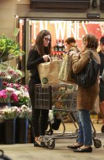EMMY ROSSUM Out for Shopping in Los Angeles 11/25/2015