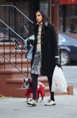 FAMKE JANSSEN Out and About in New York 11/25/2015