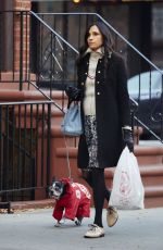 FAMKE JANSSEN Out and About in New York 11/25/2015