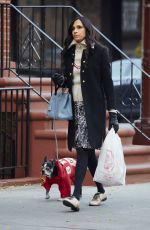 FAMKE JANSSEN Out and About in New York 11/25/2015