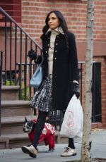 FAMKE JANSSEN Out and About in New York 11/25/2015