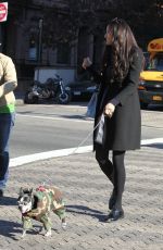 FAMKE JANSSEN Walks Her Dog Out in New York 11/24/2015
