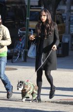 FAMKE JANSSEN Walks Her Dog Out in New York 11/24/2015