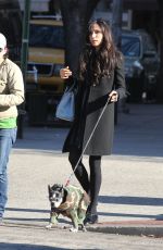 FAMKE JANSSEN Walks Her Dog Out in New York 11/24/2015