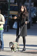 FAMKE JANSSEN Walks Her Dog Out in New York 11/24/2015