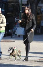 FAMKE JANSSEN Walks Her Dog Out in New York 11/24/2015