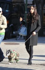 FAMKE JANSSEN Walks Her Dog Out in New York 11/24/2015