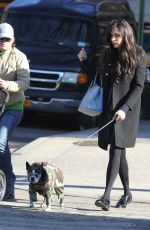 FAMKE JANSSEN Walks Her Dog Out in New York 11/24/2015