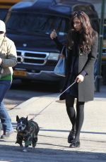 FAMKE JANSSEN Walks Her Dog Out in New York 11/24/2015