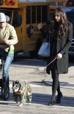 FAMKE JANSSEN Walks Her Dog Out in New York 11/24/2015