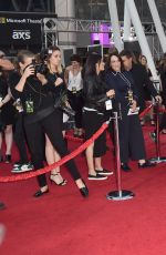 HAILEE STEINFELD at 2015 American Music Awards in Los Angeles 11/22/2015