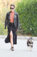 JAMIE CHUNG Walks Her Dog Out in Los Angeles 11/05/2015