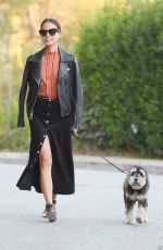 JAMIE CHUNG Walks Her Dog Out in Los Angeles 11/05/2015