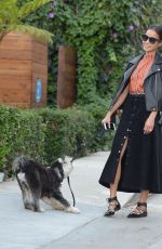 JAMIE CHUNG Walks Her Dog Out in Los Angeles 11/05/2015