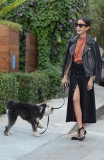 JAMIE CHUNG Walks Her Dog Out in Los Angeles 11/05/2015