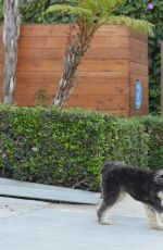JAMIE CHUNG Walks Her Dog Out in Los Angeles 11/05/2015
