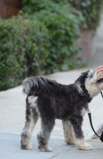 JAMIE CHUNG Walks Her Dog Out in Los Angeles 11/05/2015