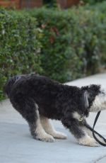 JAMIE CHUNG Walks Her Dog Out in Los Angeles 11/05/2015