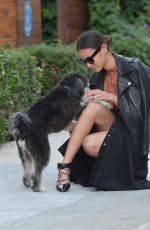 JAMIE CHUNG Walks Her Dog Out in Los Angeles 11/05/2015