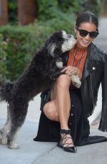 JAMIE CHUNG Walks Her Dog Out in Los Angeles 11/05/2015