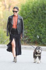 JAMIE CHUNG Walks Her Dog Out in Los Angeles 11/05/2015