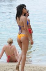 JASMIN WALIA in Bikini at a Beach in Ibiza 08/30/2015