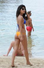 JASMIN WALIA in Bikini at a Beach in Ibiza 08/30/2015