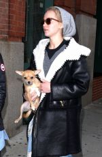 JENNIFER LAWRENCE Out with Her Dog in New York 11/25/2015