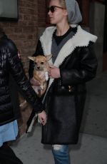 JENNIFER LAWRENCE Out with Her Dog in New York 11/25/2015