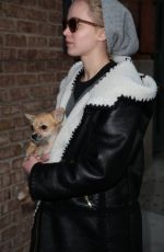 JENNIFER LAWRENCE Out with Her Dog in New York 11/25/2015