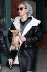 JENNIFER LAWRENCE Out with Her Dog in New York 11/25/2015