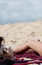 JESSICA HART in Bikini at a Beach in Sydney 11/20/2015